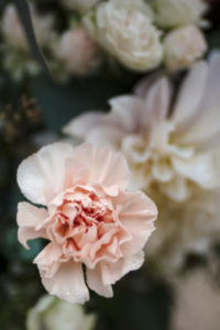 Groupe Musique mariage et évenements sud de la france Rose décoration bouquet