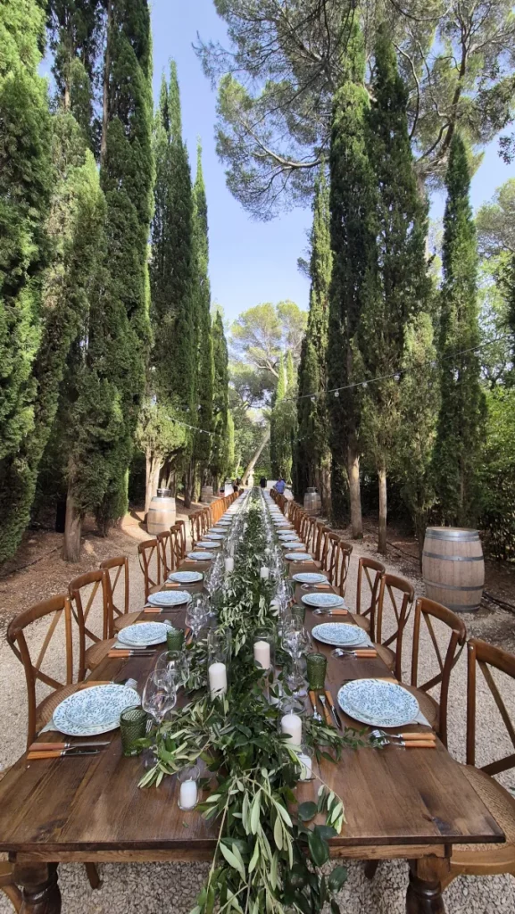 Reception mariage Vaucluse avec animation musicale par groupe et musiciens