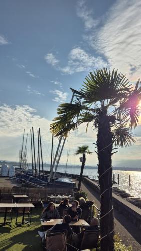 Yacht-club-geneve-animation-musicale-groupe-musique